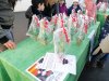 IMG_20221210_101827