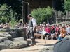 IMG_20220613_104107